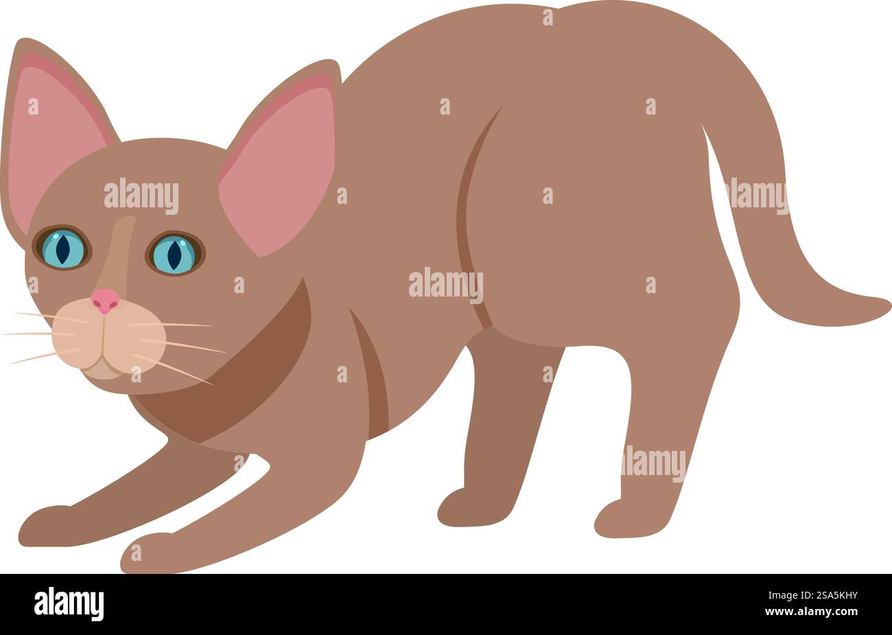 Die verspielte braune Katze macht sich bereit zum Springen und Stürzen, mit hellblauen Augen und neugierigem Ausdruck. Braune Katze macht sich bereit zu springen und zu spielen Stock Vektor