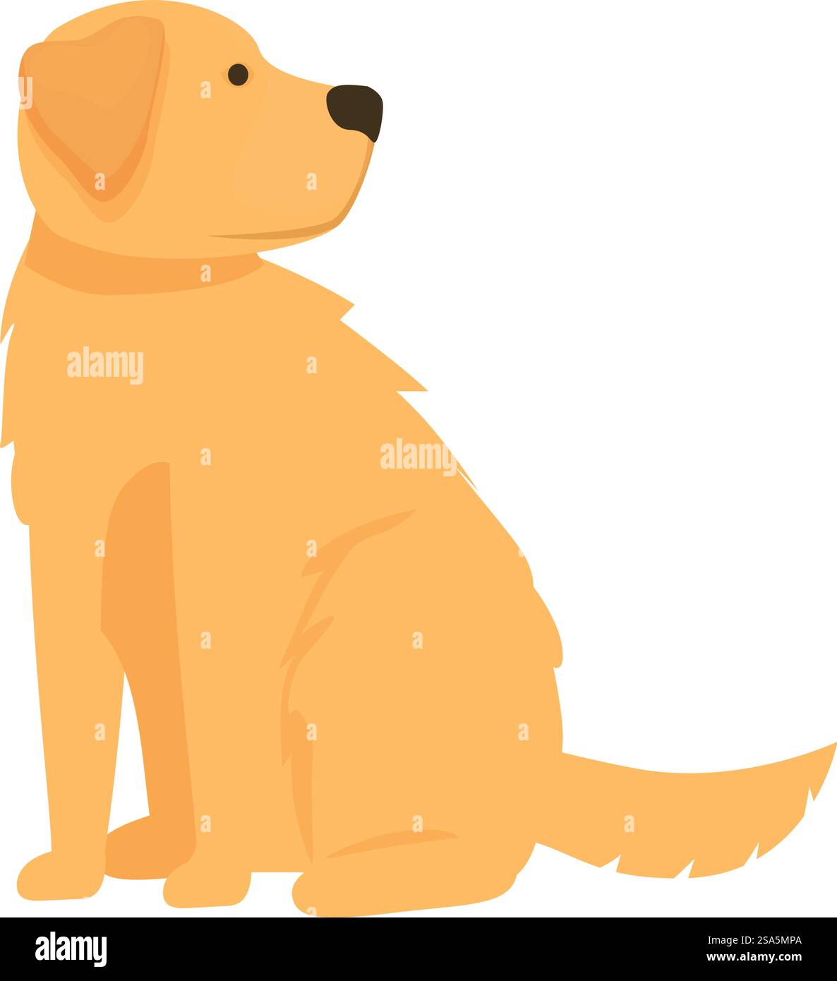 Der freundliche Golden Retriever Hund sitzt und sieht nach rechts. Golden Retriever Hund sitzt und sieht nach rechts Stock Vektor