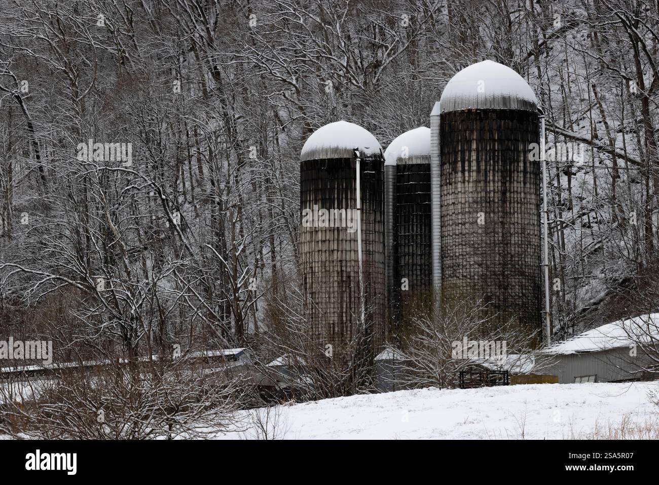 Drei Silos liegen auf einem Hügel neben einem Laubbaumwald in dieser winterlichen ländlichen Landschaft in Tennessee. Stockfoto
