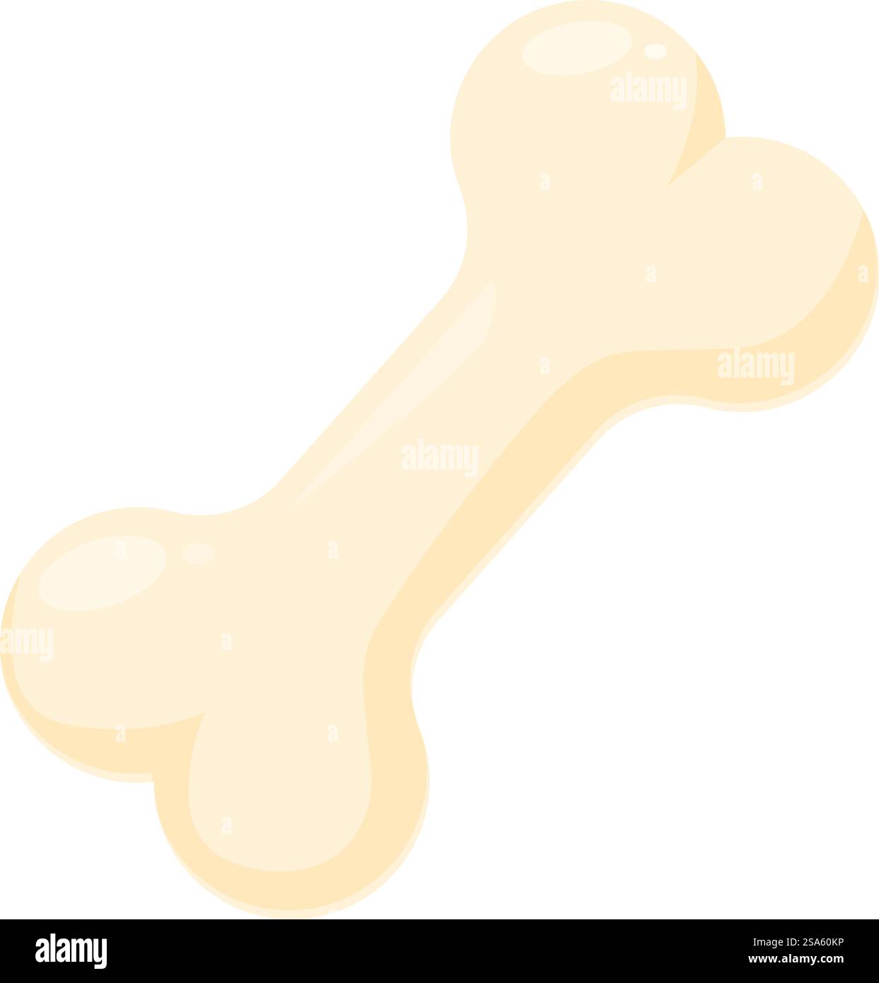 Einzelner sauberer Hundeknochen liegt schräg auf weißem Hintergrund. Einzelner sauberer Hundeknochen auf weißem Hintergrund Stock Vektor
