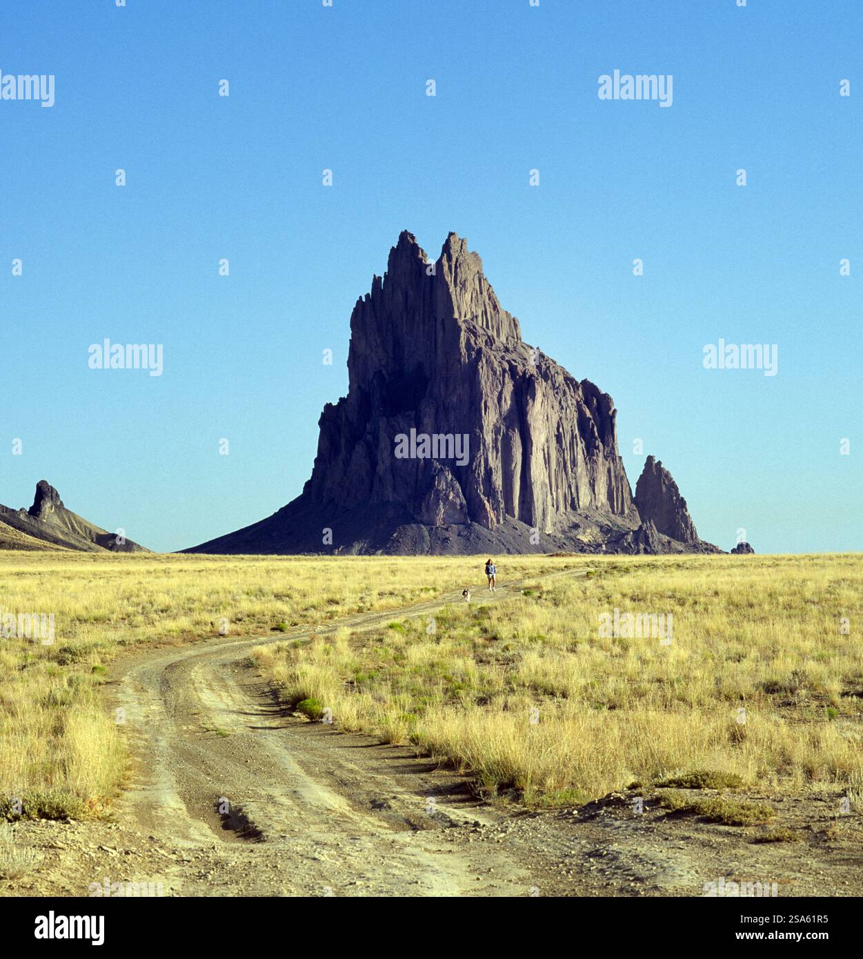 Eine zweigleisige Feldstraße führt durch die trockene Wüste des Navajo Indian Reservation in der Nähe von Ship Rock, New Mexico. Stockfoto
