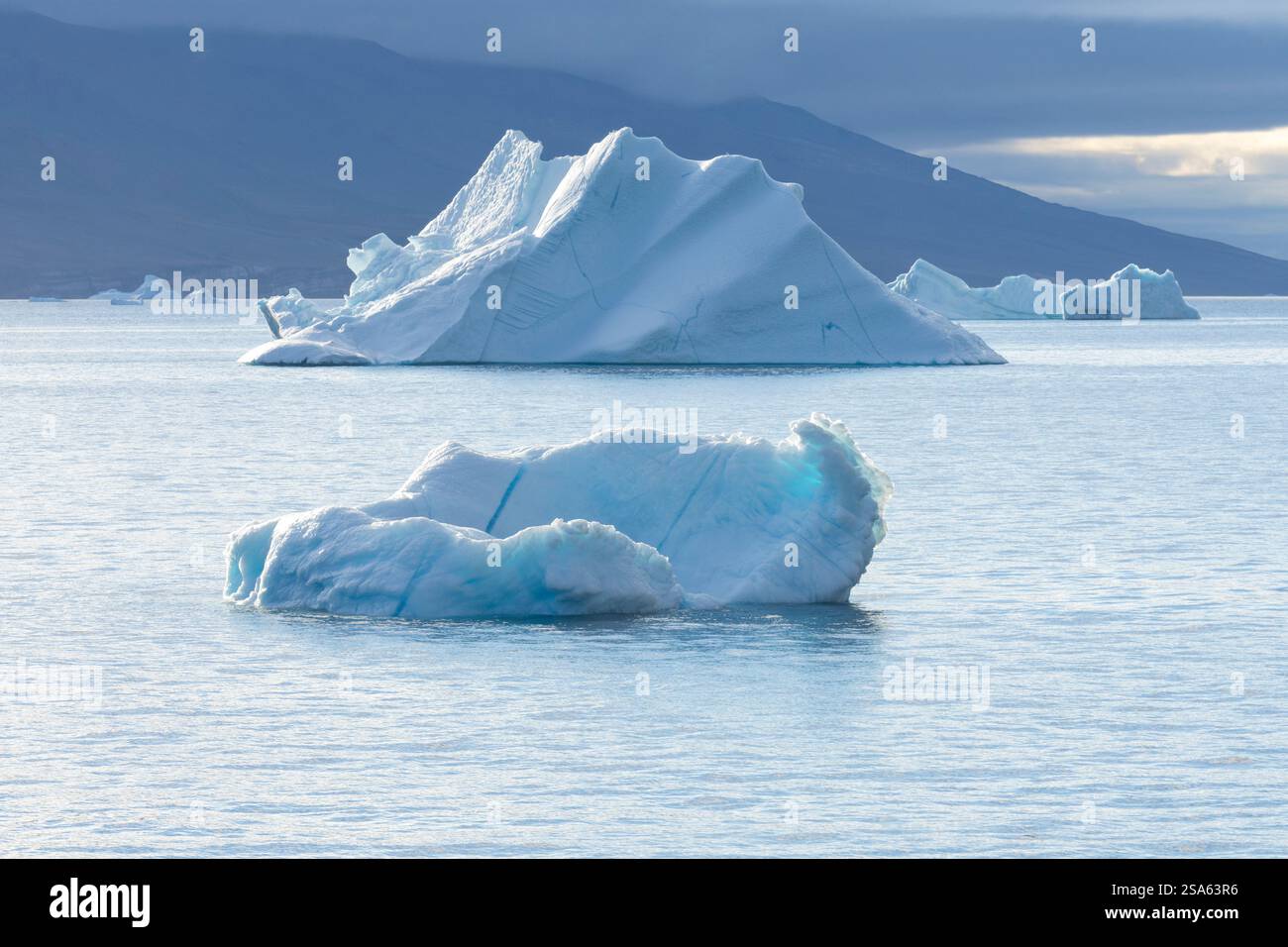 Große Eisberge schweben in der Abendsonne, dahinter Berge der Geeenländischen Küste. . Sullorsuaq-Straße, Westgrönland, Dänemark, Nordamerika Stockfoto