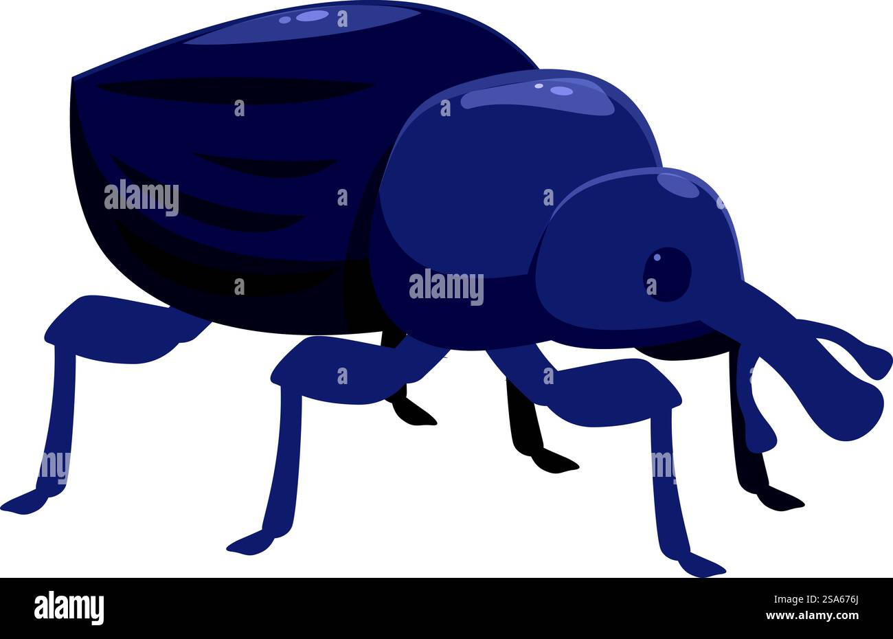 Der große schwarze Käfer läuft und sucht etwas zu essen. Großer schwarzer Käfer, der von der Seite läuft Stock Vektor