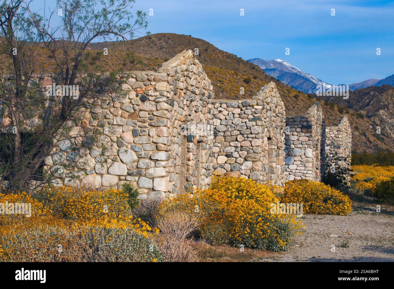 Mission Creek Preserve, Colorado Desert, Kalifornien Stockfoto
