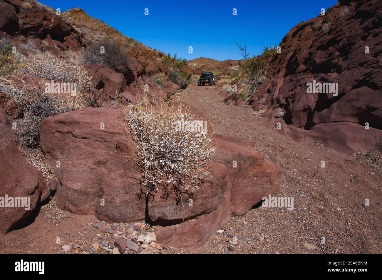 Ausgewiesener Jeep Trail mit Blick auf die Orocopia Mountain Wilderness Area, Colorado Desert, Kalifornien Stockfoto