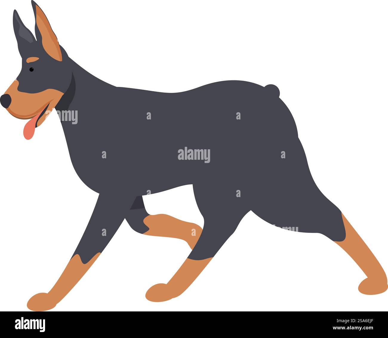 Doberman Pinscher läuft anmutig mit der Zunge raus. Doberman Pinscher rennt mit der Zunge raus Stock Vektor