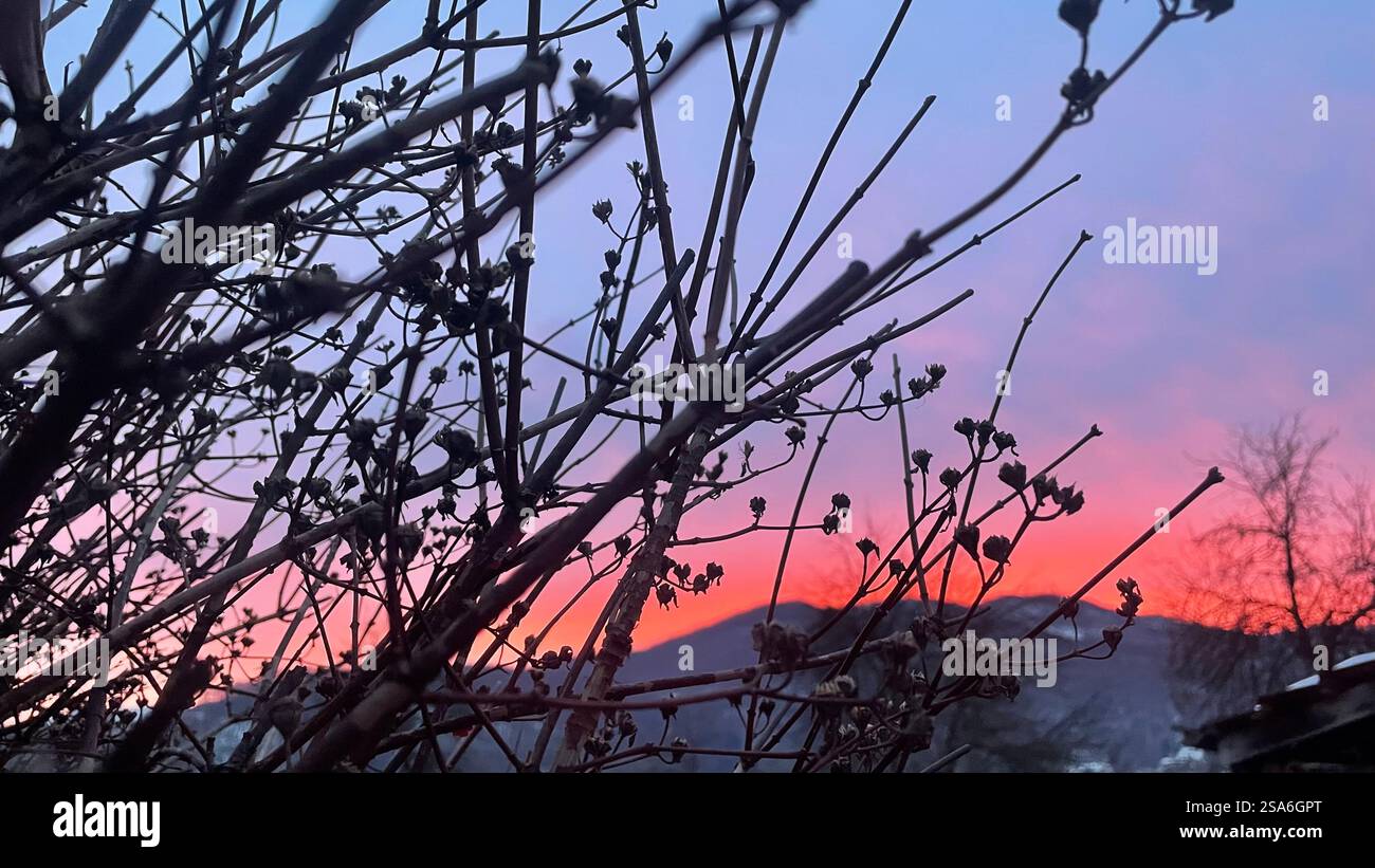 Wunderschöner Sonnenuntergangshimmel, farbenfrohe Wolken, Skyline-Landschaft Stockfoto