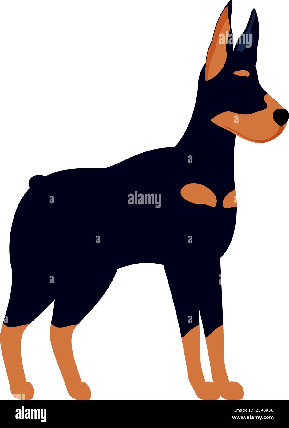 Illustration eines Doberman Pinscher, der mit spitzen Ohren und aufmerksamem Ausdruck steht. Doberman Pinscher stehende Wachhund-Illustration Stock Vektor