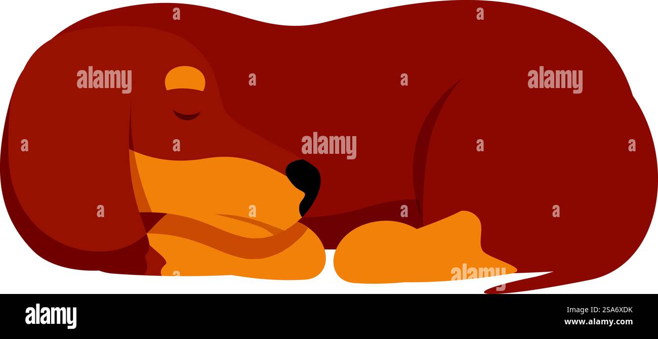Niedlicher brauner Dackelhund, der friedlich auf dem Boden schläft. Brauner Dackelhund, der friedlich auf dem Boden schläft Stock Vektor