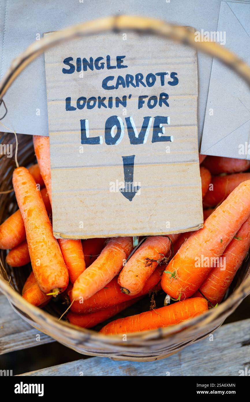 Ein Korb frischer Karotten, beschriftet mit einem humorvollen handgeschriebenen Schild mit der Aufschrift „Single Karots Looking for Love“, das dem eine lustige, unbeschwerte Note verleiht Stockfoto