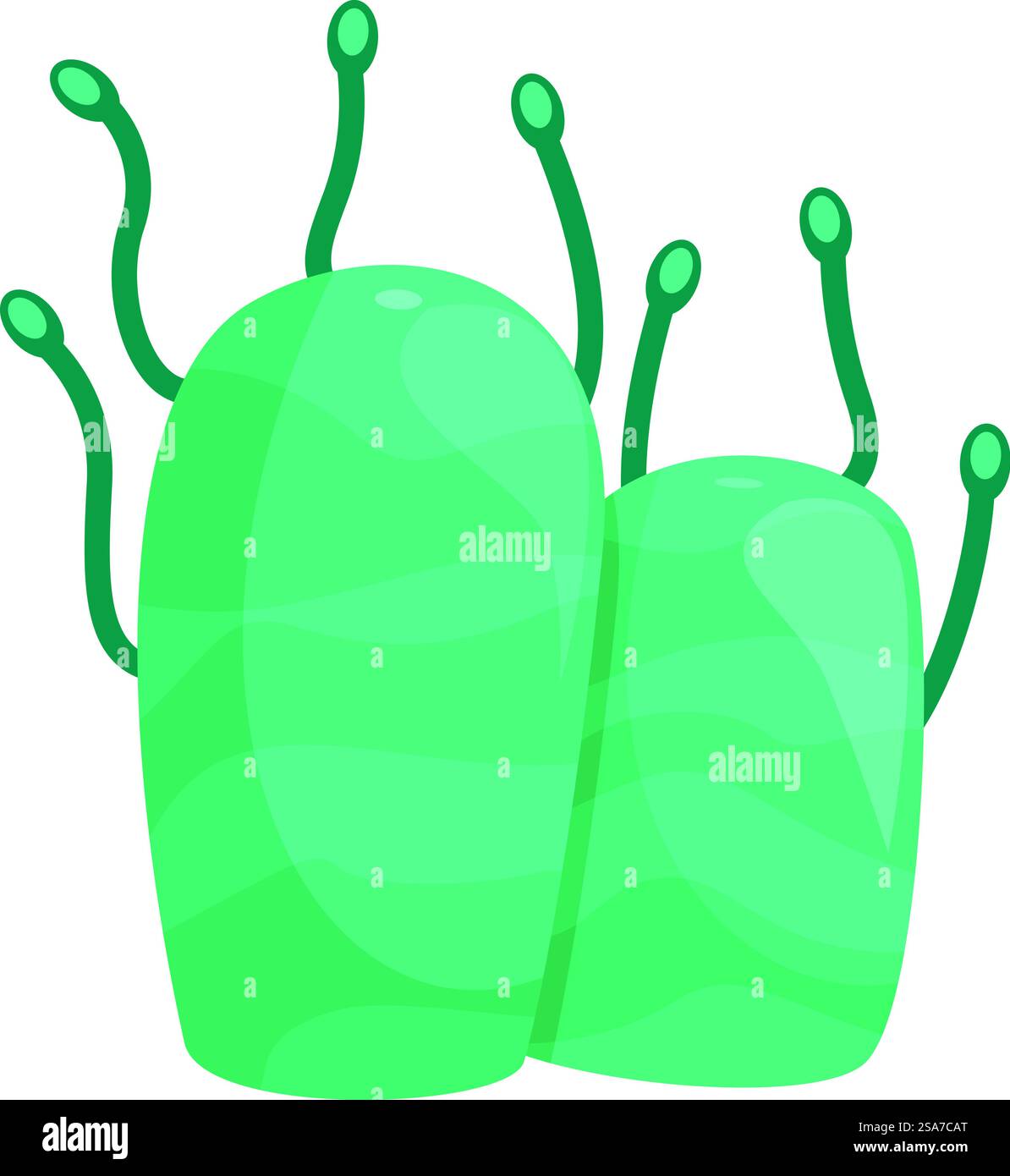 Zwei türkisfarbene Karikaturbakterien verbreiten ihre Tentakel auf der Suche nach Nahrung. Zwei türkisfarbene Karikaturbakterien, die Tentakel verbreiten Stock Vektor