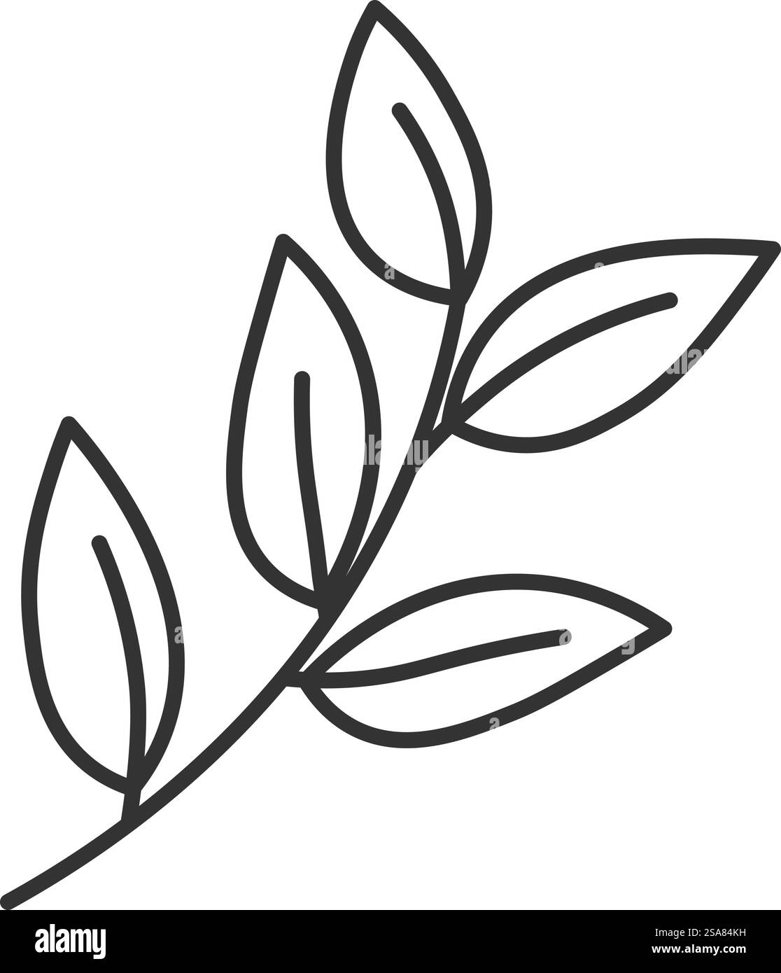 Basilikumblätter am Stiel, Kochen und Zubereiten von Gerichten Zutaten. Kräuter und Gewürze für Nahrung und Mahlzeit. Aromatischer Zusatz für leckeres Essen. Isoliertes Monochrom-Kontursymbol. Vektor in abgewickelten Formaten. Leckeres Basilikum, Zeichnung von Kräutern zum Kochen Vektor Stock Vektor