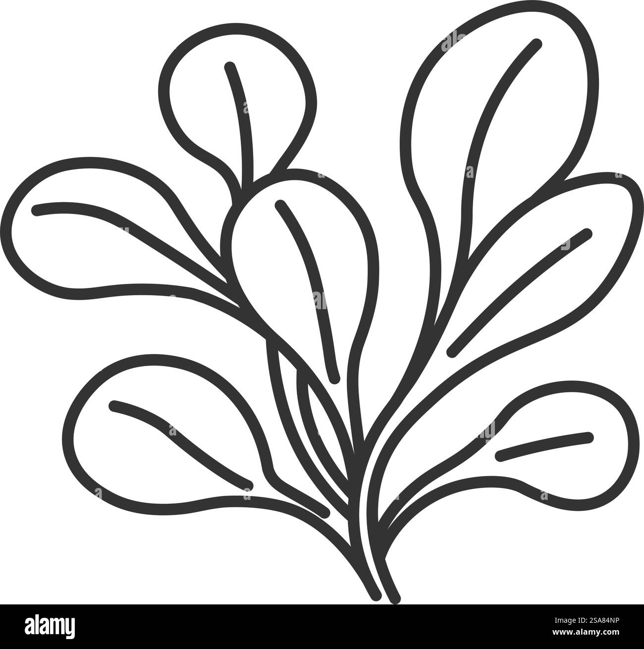 Zutat zum Kochen von Salaten und Gerichten, gezogenen Aromakräutern, Stängeln und Blättern. Blumenstrauß, Gartenbau und Landwirtschaft wachsen vom Bauernhof. Isoliertes Monochrom-Kontursymbol. Vektor in abgewickelten Formaten. Kräuter zum Kochen von Salaten und Gerichten, Zutat Stock Vektor