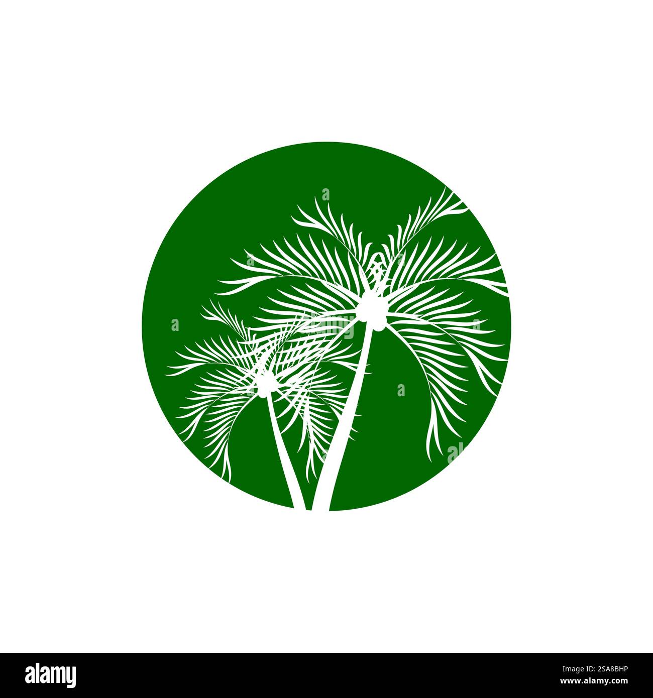 Palme Logo Vektor Vorlage Symbol Design Stock Vektor