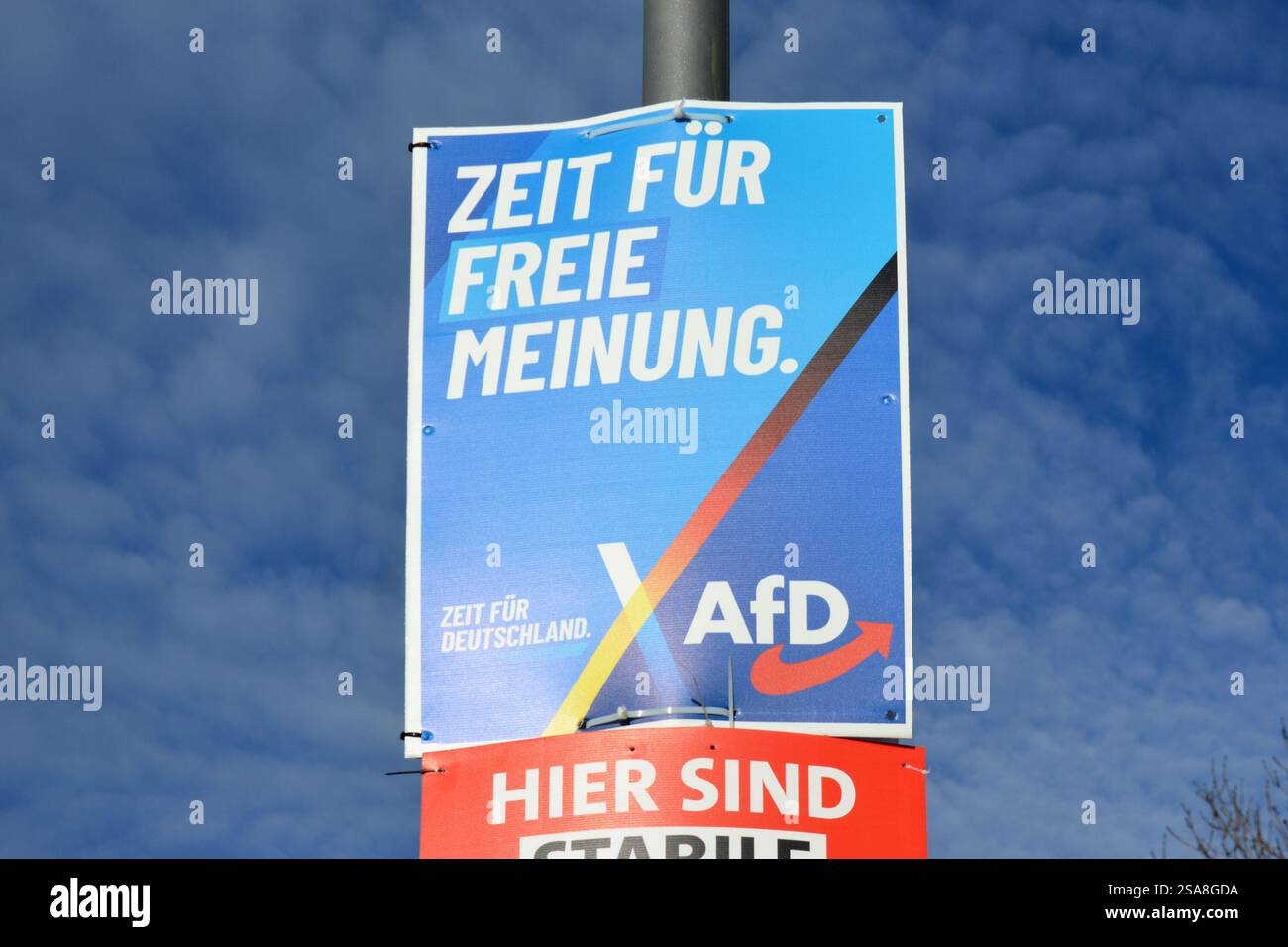 Heidelberg - 25. Januar 2025: Poster zur Bundestagswahl 2025 mit Werbung für rechtsextreme politische PA Stockfoto
