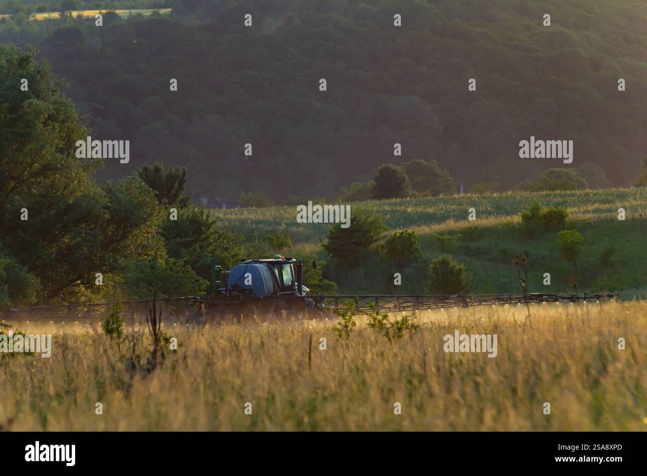 Ein Traktor fährt bei Sonnenuntergang durch goldene Felder, umgeben von üppigem Grün und fernen Hügeln. Das warme Licht schafft eine friedliche Atmosphäre in der Th Stockfoto