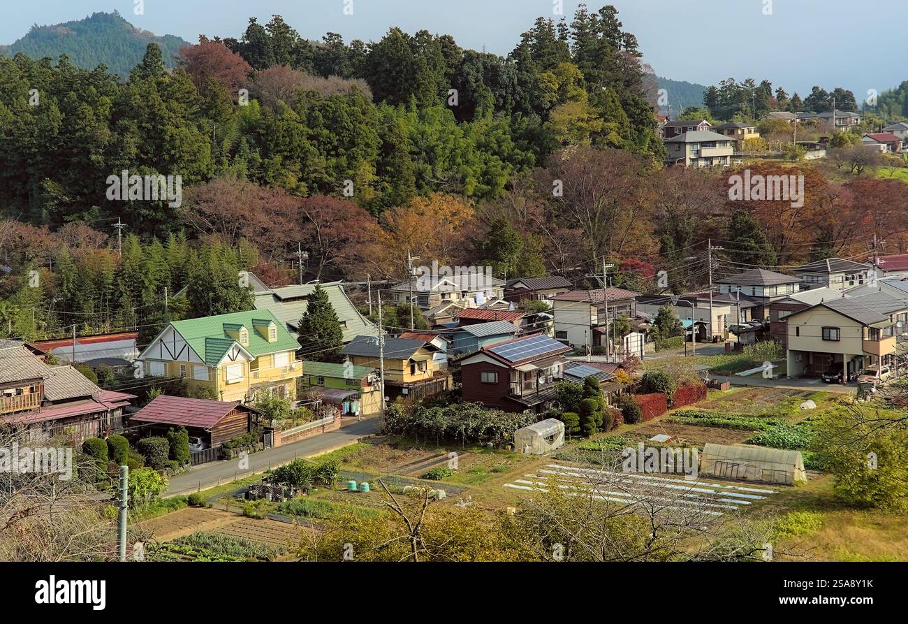Tagsüber Blick auf ein Viertel in Akiruno, in der Nähe der Berge westlich des Zentrums von Tokio, an einem trüben Herbsttag Stockfoto