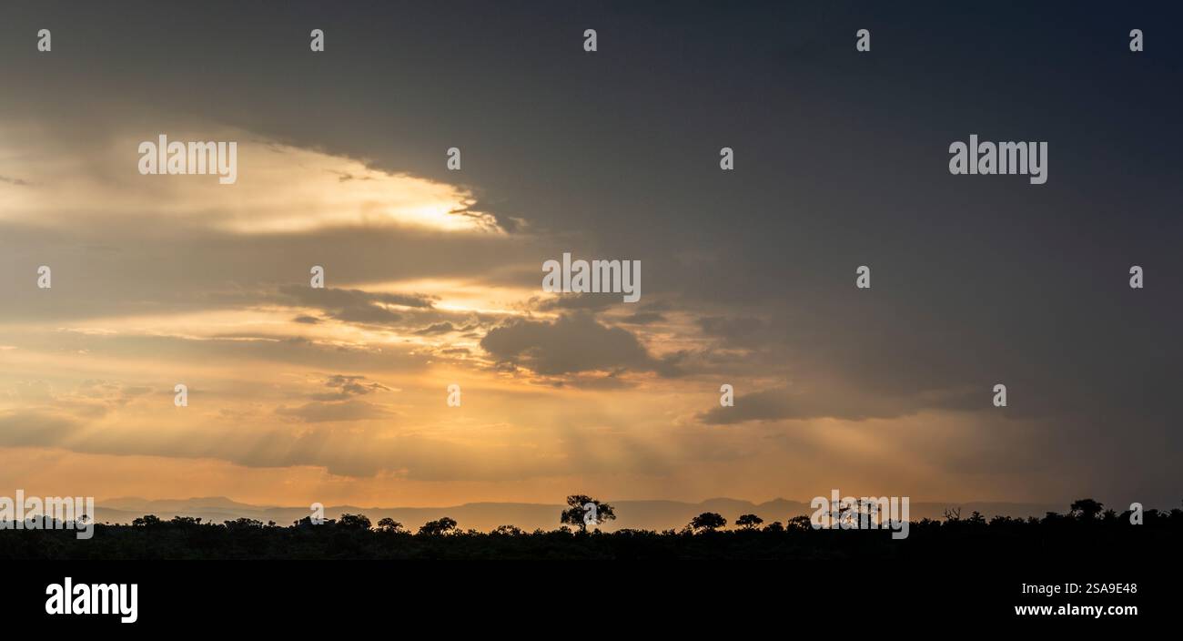 Malerisches Buschveld-Panorama mit Sonnenstrahlen, die hinter einer großen Sommersturmwolke durch eine Lücke leuchten Stockfoto