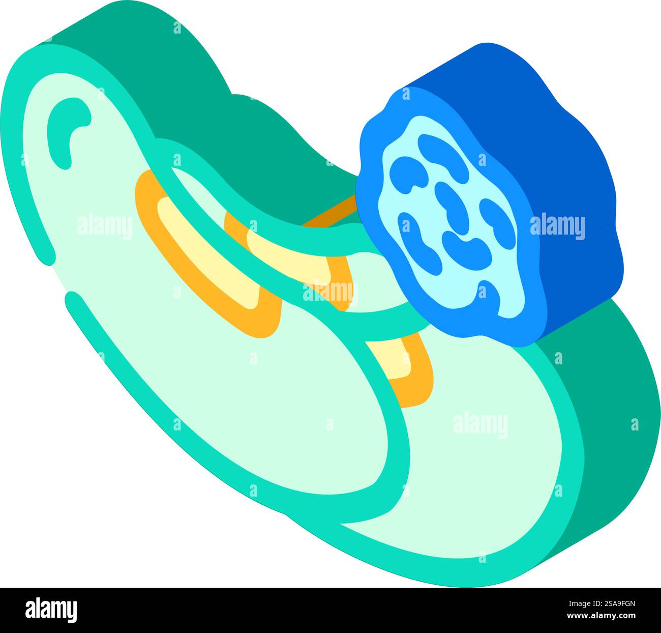 Soja-Allergen-freies Produkt Lebensmittel isometrischer Icon-Vektor. Lebensmittelschild für allergenfreie Produkte. Isolierte Symboldarstellung. Soja-Allergen-freies Produkt Lebensmittel isometrische Icon-Vektor-Illustration Stock Vektor