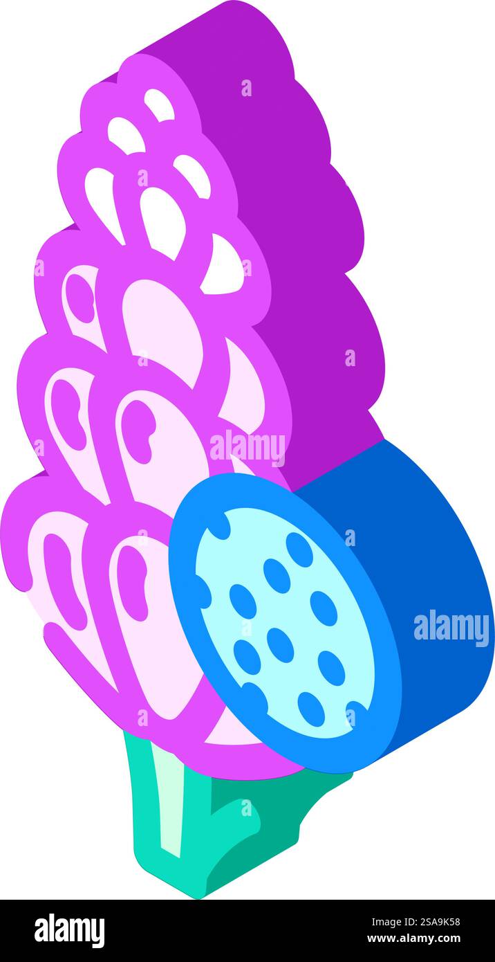 lupin Allergen frei Produkt Lebensmittel isometrische Icon Vektor. lupin-Allergenfreies Produkt – Lebensmittelschild. Isolierte Symboldarstellung. lupin Allergen frei Produkt Lebensmittel isometrische Icon Vektor Illustration Stock Vektor