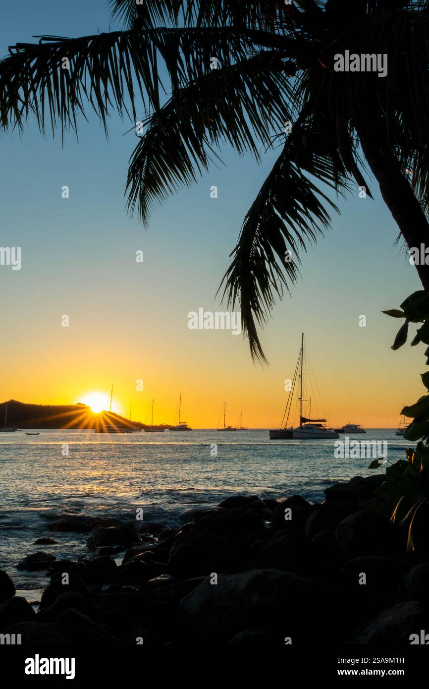 Silhouette einer Palme und Segelboote bei Sonnenuntergang in Grand Case, auf der Karibikinsel Saint Martin (Sint Maarten), Französisch-Westindien Stockfoto