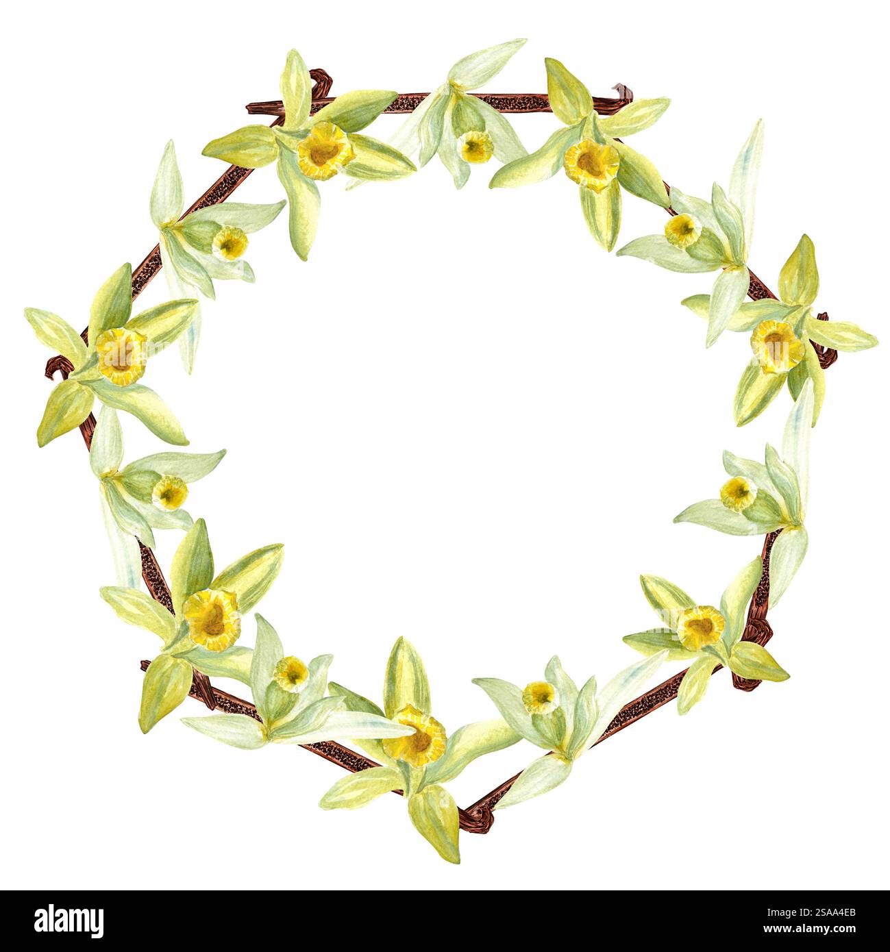 Vanilleorchideenblumen und Bohnen Aquarellkranz isoliert auf weißem Hintergrund. Hochwertiges, handgezeichnetes Designelement, perfekt für Gewürzdosen, Karten Stockfoto