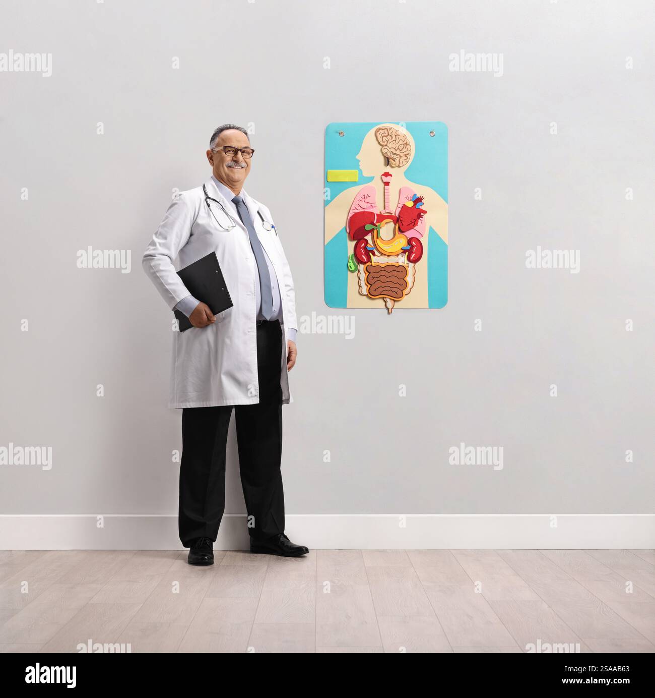 Männlicher Arzt in einer Klinik neben einem Plakat eines menschlichen Körpers und Organen an einer Wand Stockfoto