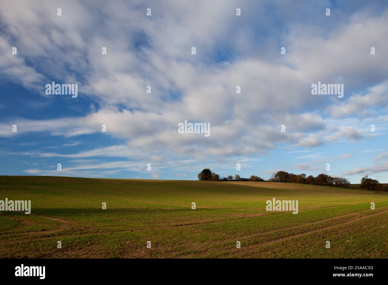 Norfolk Landschaft im Frühling Stockfoto