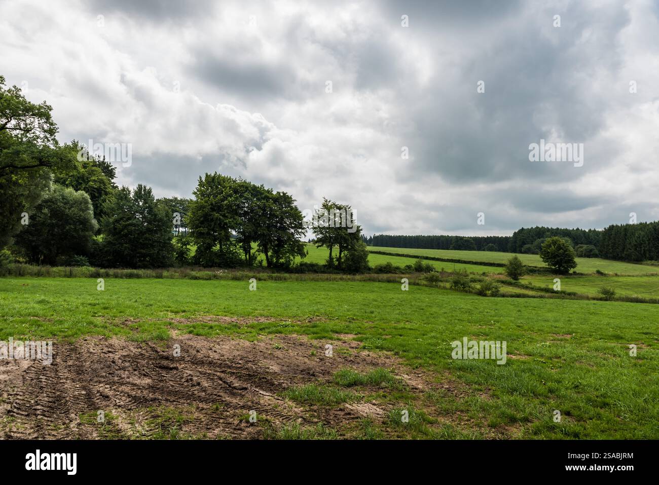 Grüne Landschaft mit Feldern und Häusern auf dem belgischen Land, Waimes, Ardennen, Wallonische Region, Belgien Stockfoto
