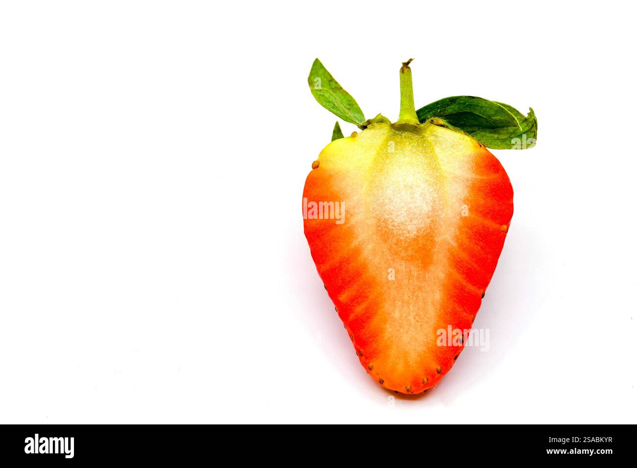 Nahaufnahme einer in zwei Hälften geschnittenen frischen Erdbeere auf weißem Hintergrund Stockfoto