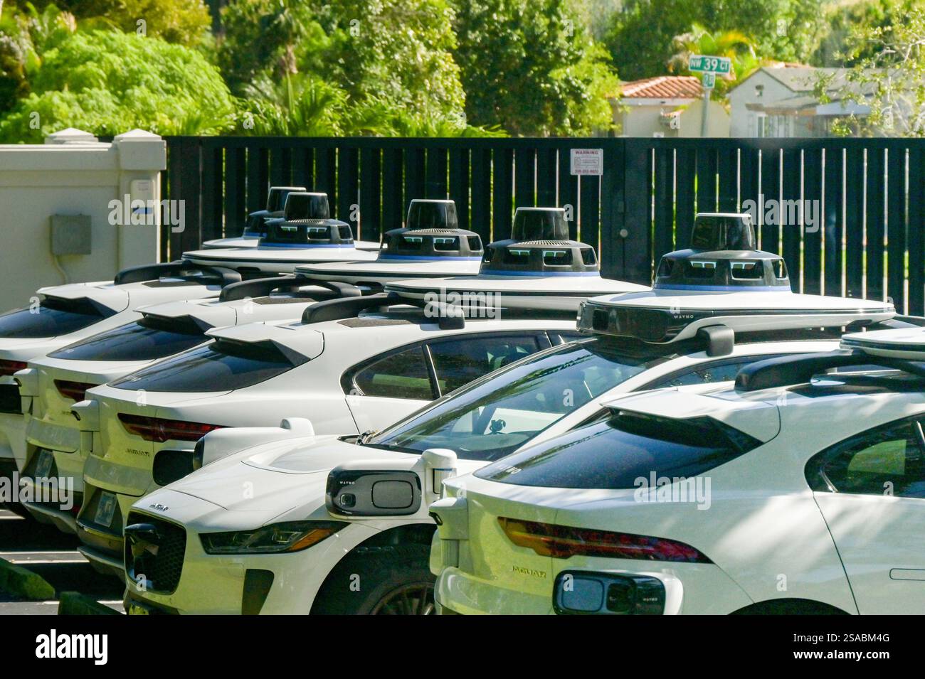 Miami, Florida, USA - 4. Januar 2025: Auf dem Hotelparkplatz in Miami stehen selbstfahrende Taxis. Die Wagen werden von Waymo betrieben. Stockfoto