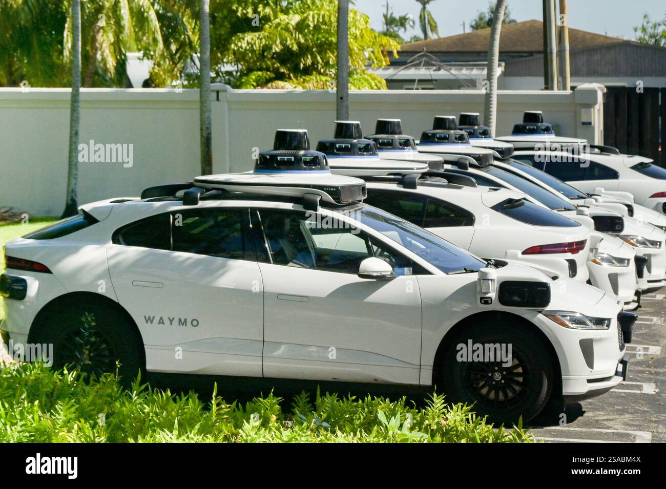 Miami, Florida, USA - 4. Januar 2025: Auf dem Hotelparkplatz in Miami stehen selbstfahrende Taxis. Die Wagen werden von Waymo betrieben. Stockfoto