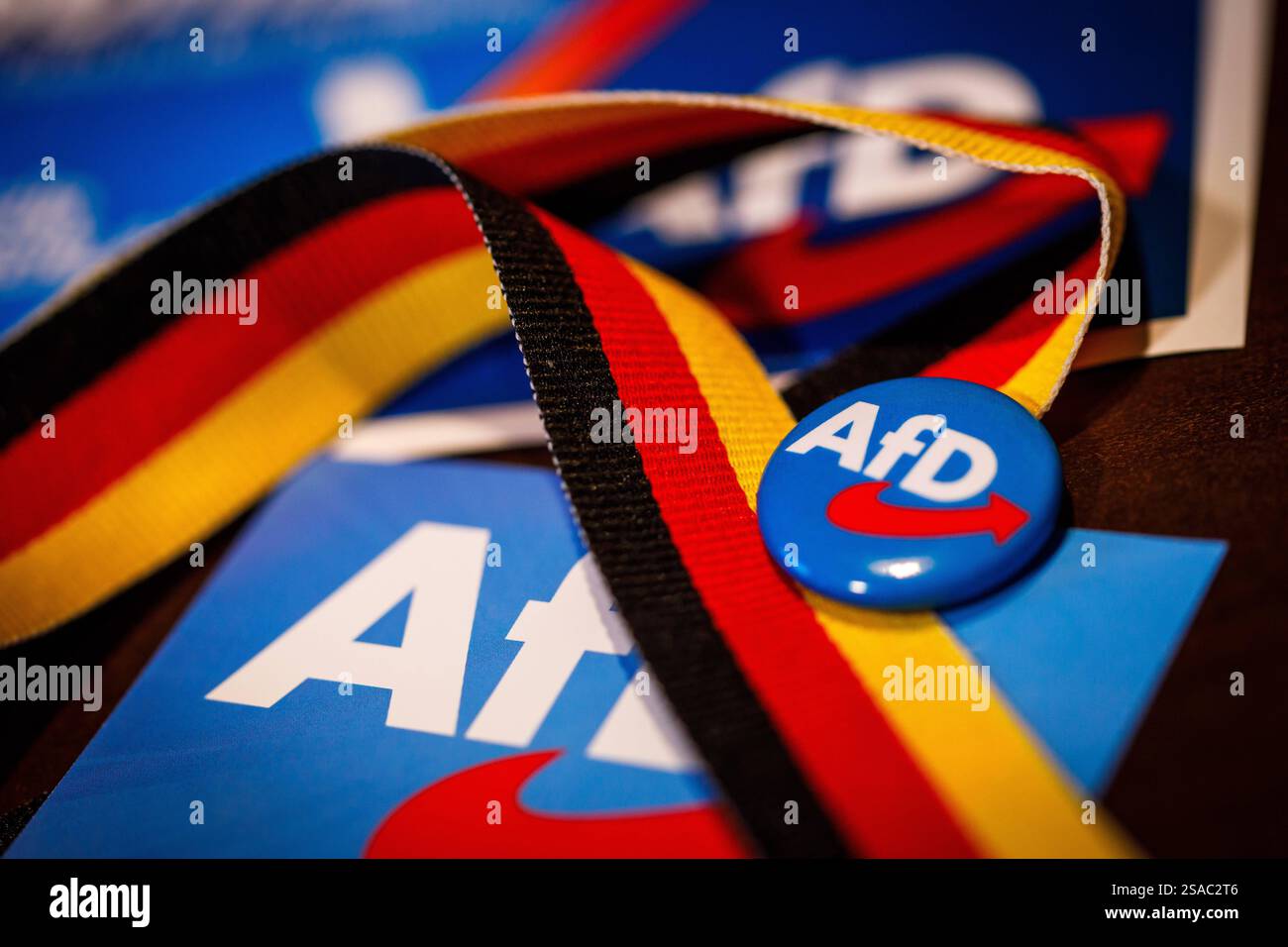 Afd Pin Symbolfoto AFD DEU/Deutschland/Illustration, 29.01.2025, Symbolfoto AFD ...
