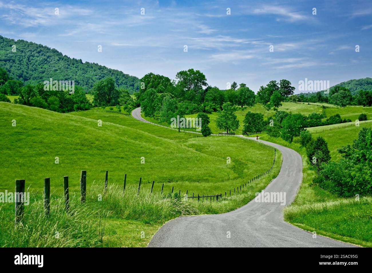 Eine weniger befahrenen Straße schlängelt sich durch den Ausläufern der Blue Ridge Mountains in West Virginia. Stockfoto