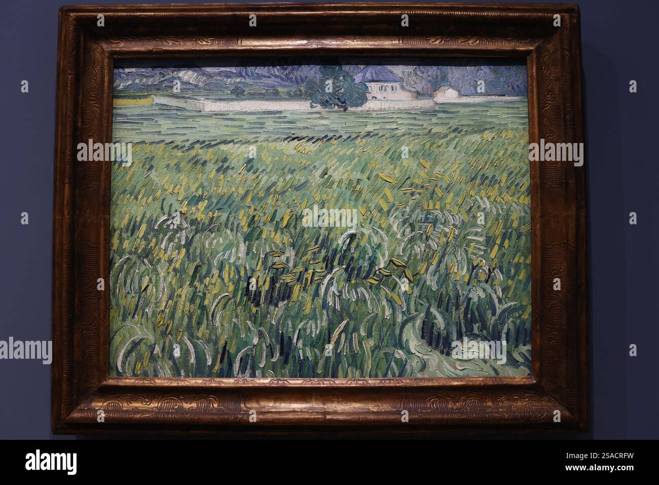 Orsay Museum, Paris, Frankreich. Vincent Van Gogh. Haus in Auvers-sur-Oise, Öl auf Leinwand, 1890 Stockfoto