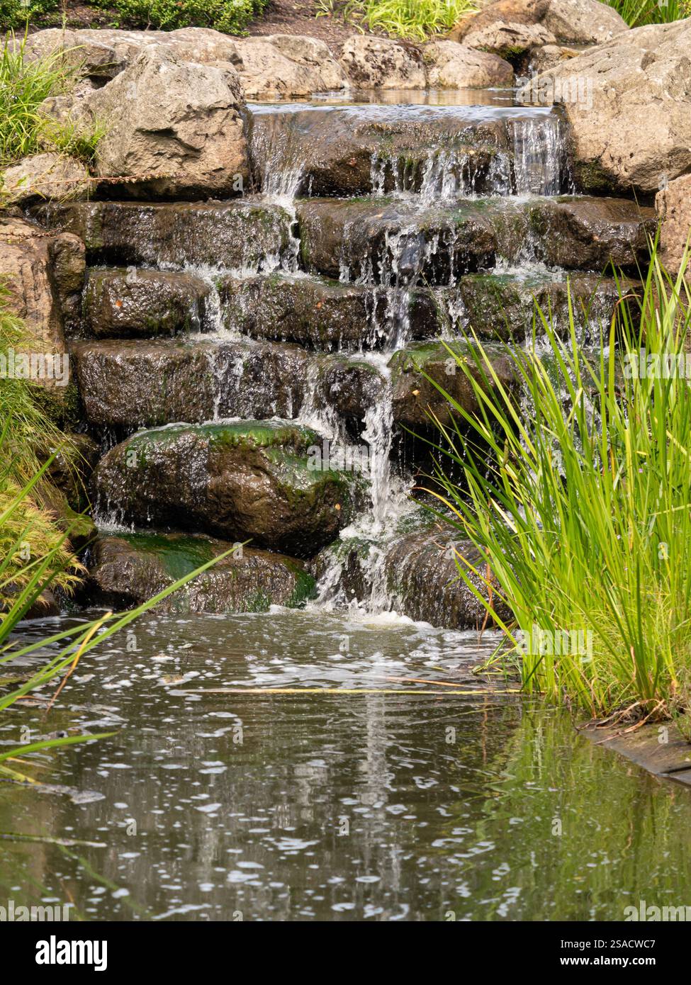 Wasserfall garten uk -Fotos und -Bildmaterial in hoher Auflsung  Alamy