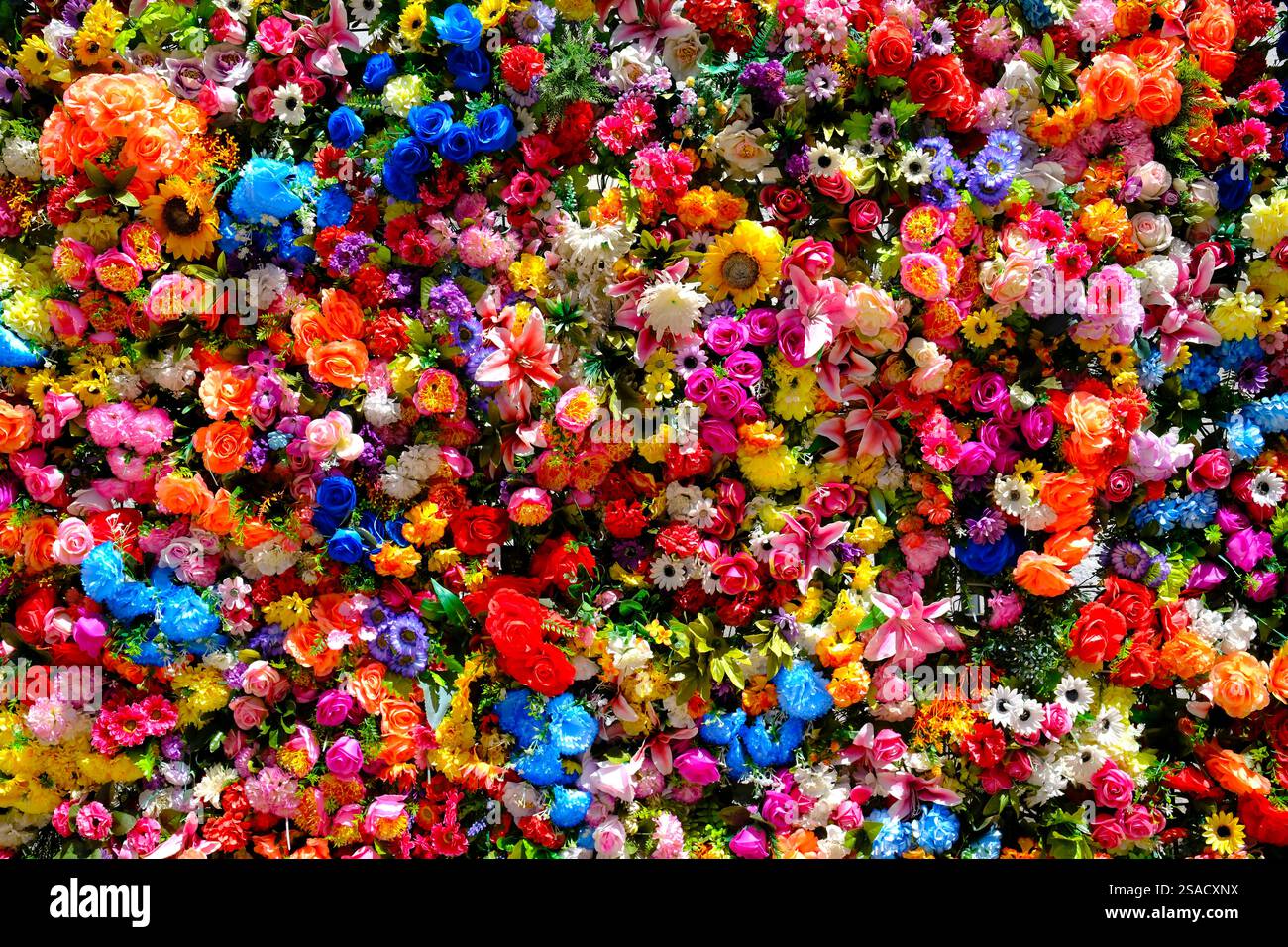 Mehrfarbige Blumenwand. Lissabon. Portugal. Stockfoto