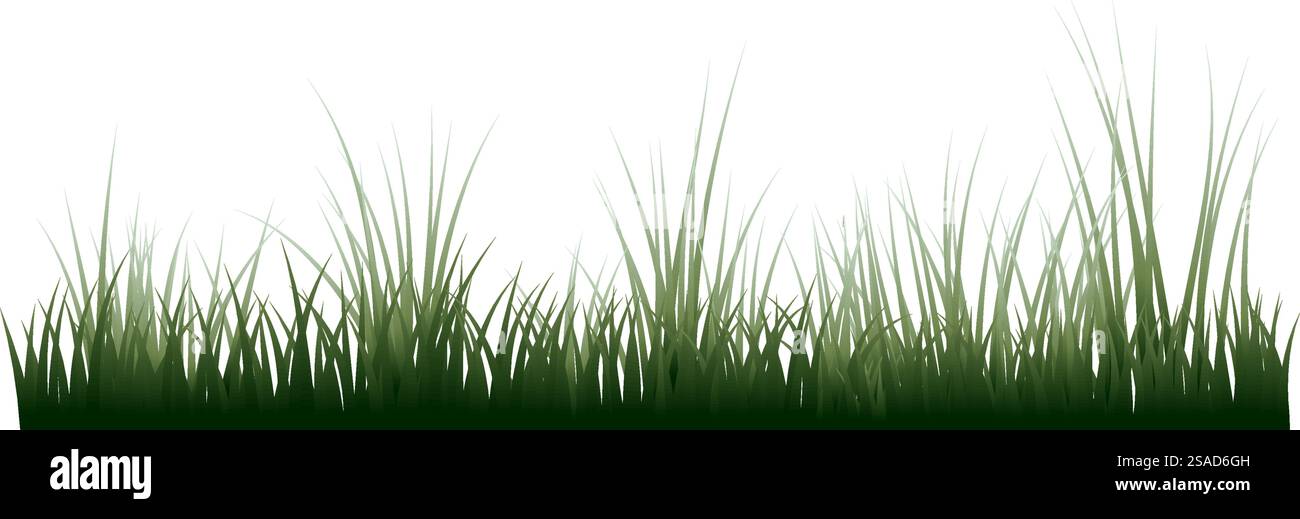 Grüner Grasrand. Hochgrünes frisches Gras isolierte Abbildung. Stock Vektor