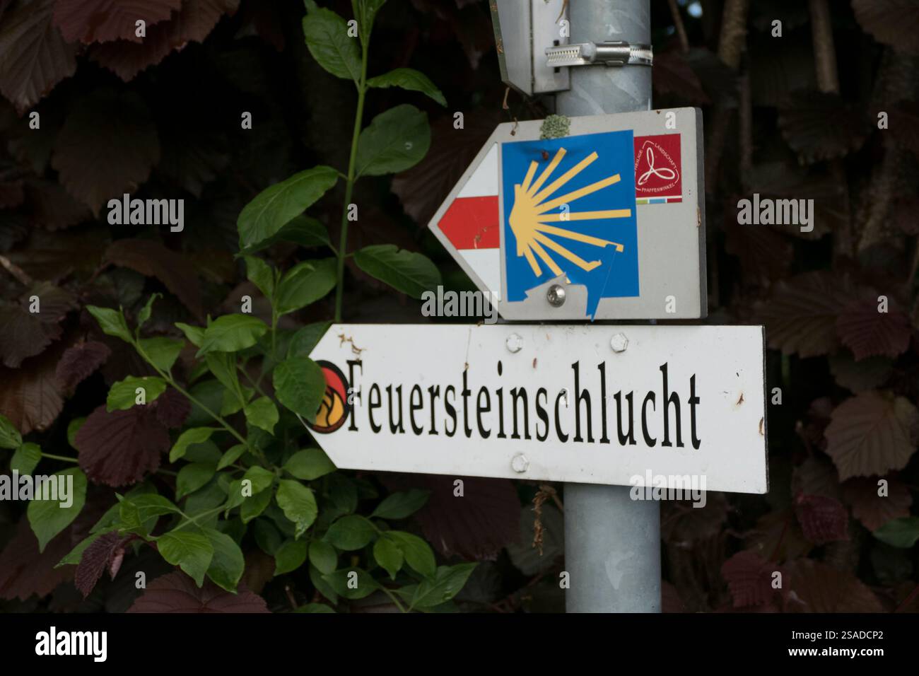 Feuersteinschlucht, Münchner Jakobsweg, Bayern, Deutschland im Sommer Stockfoto