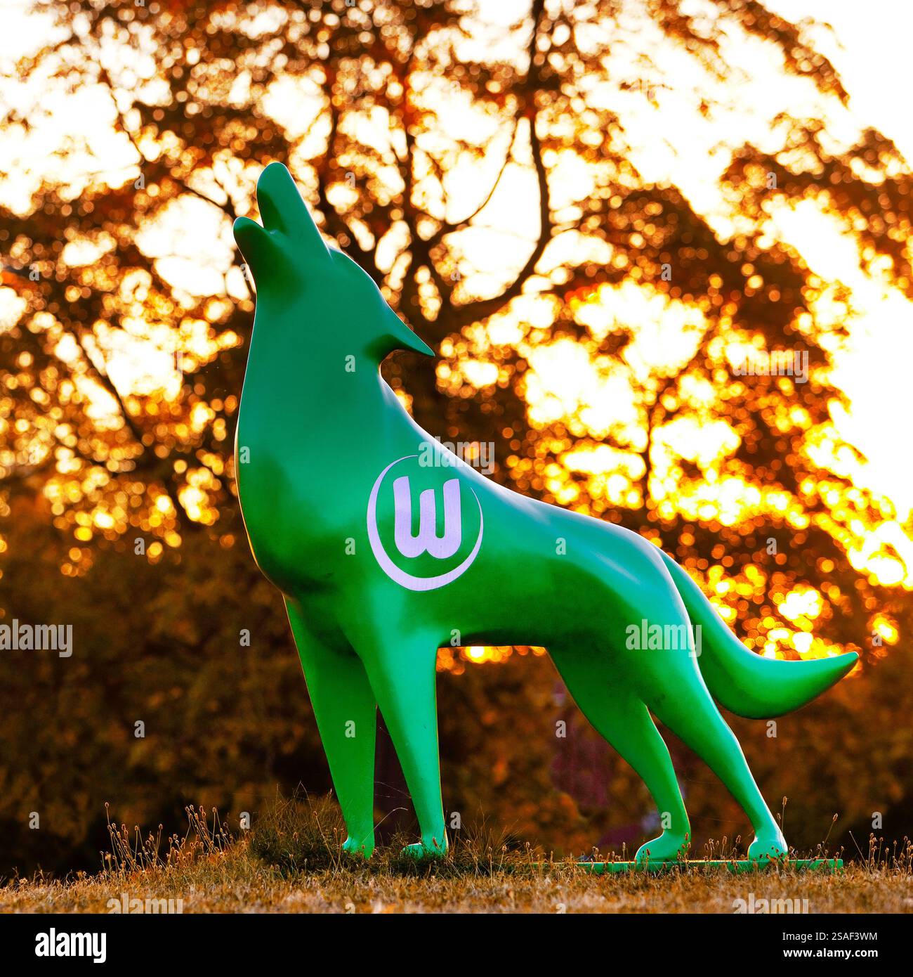 Grüne Skulptur eines heulenden Wolfes mit dem VfL Wolfsburg-Logo bei Sonnenuntergang, Wappentier, Deutschland, Niedersachsen, Wolfsburg Stockfoto