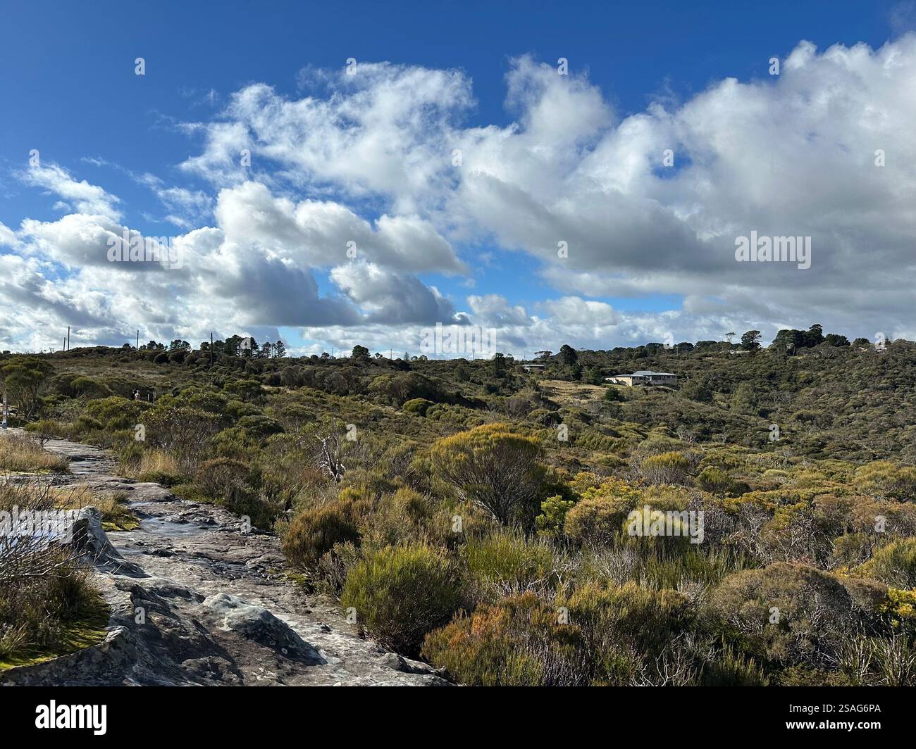 Die malerische Landschaft der Blue Mountains in Australien Stockfoto