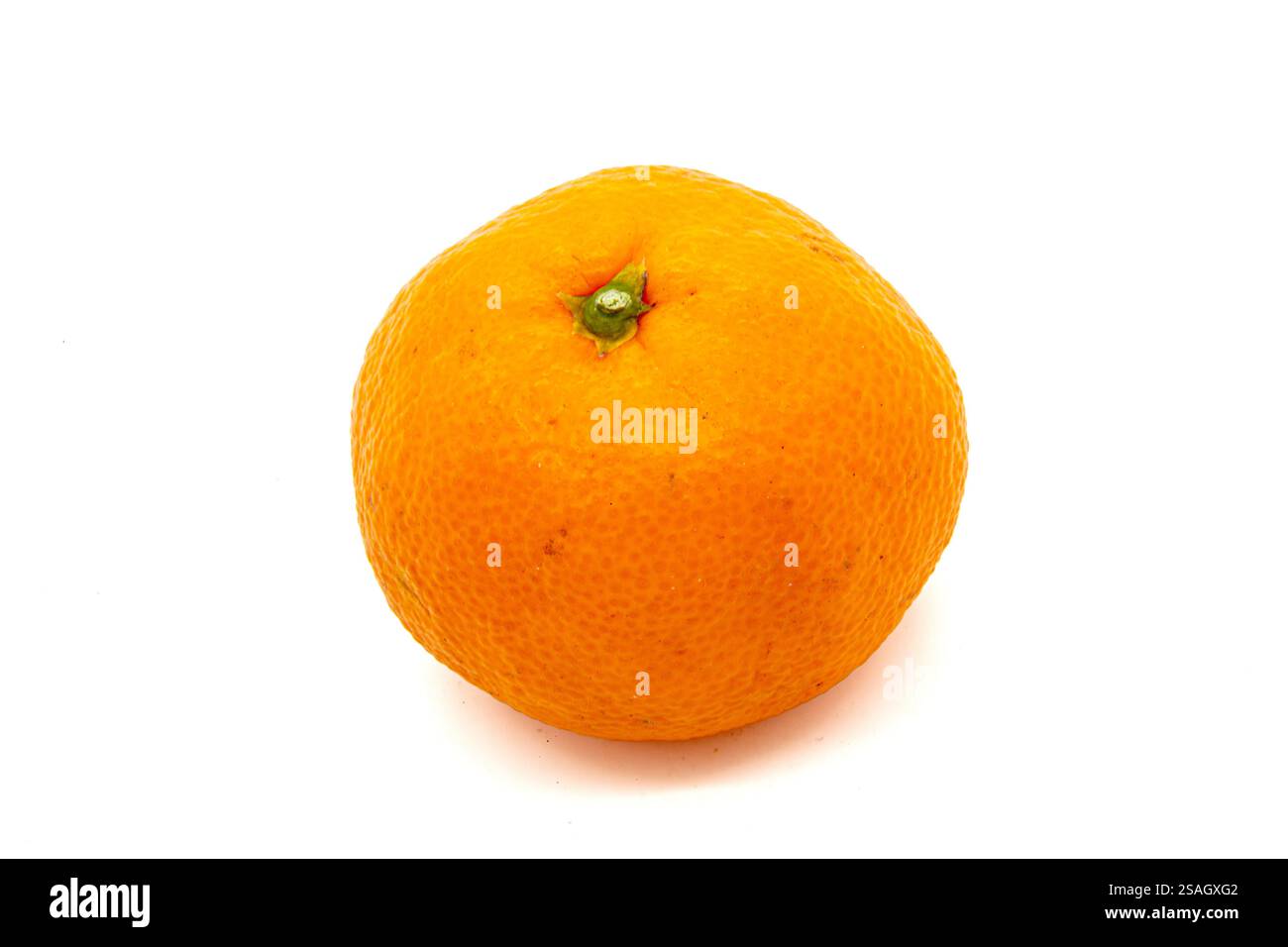 Mandarine ist hellorange auf weißem Hintergrund mit strukturierter Schale. Ein grüner Schwanz ist in der Mitte der Oberseite der Früchte zu sehen. Stockfoto