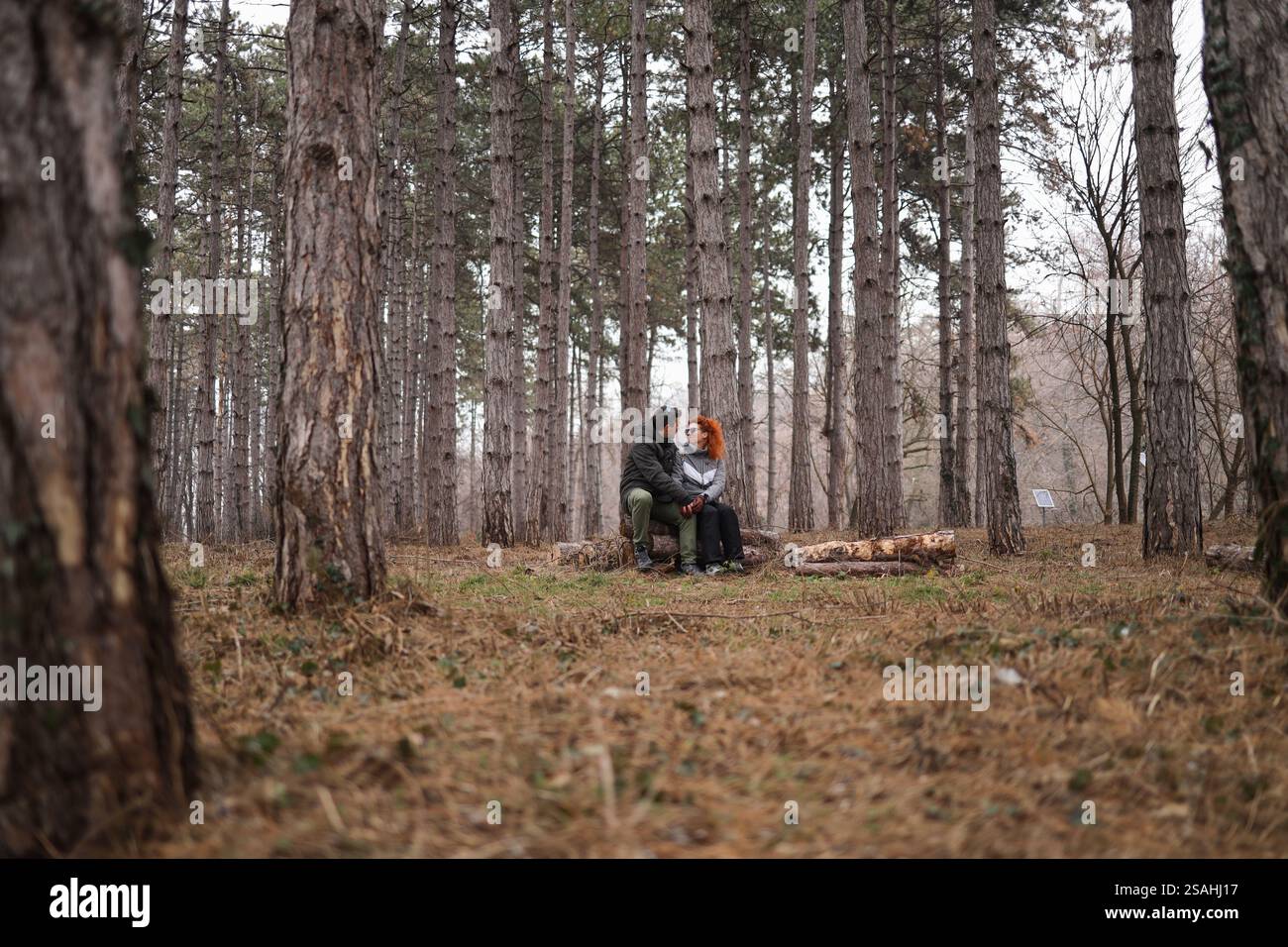 Liebevolles Paar, das ein Valentinstag-Date in der Natur genießt Stockfoto
