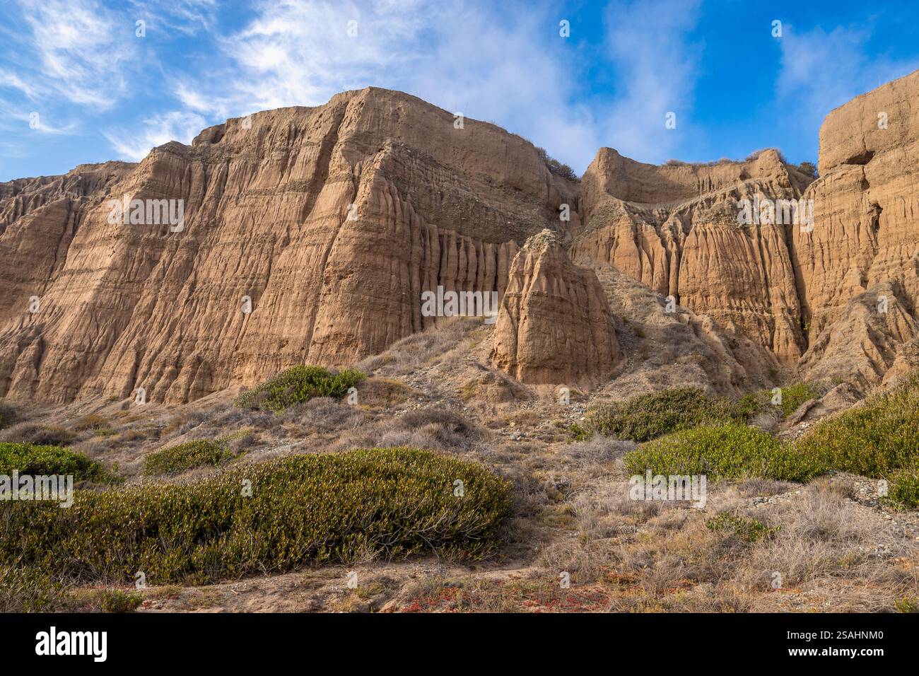 Erkunden Sie die beeindruckenden Klippen am Bluffs Beach Trail in San Onofre State Beach, San Diego County, mit natürlicher Schönheit und einzigartiger Geologie. Stockfoto Erkunden Sie die beeindruckenden Klippen am Bluffs Beach Trail in San Onofre State Beach, San Diego County, mit natürlicher Schönheit und einzigartiger Geologie. Stockfoto