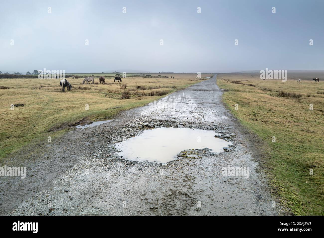 Eine raue Straße mit Schlaglöchern auf dem Davidstow Moor auf einem nebelverhangenen Bodmin Moor in Cornwall in Großbritannien. Stockfoto