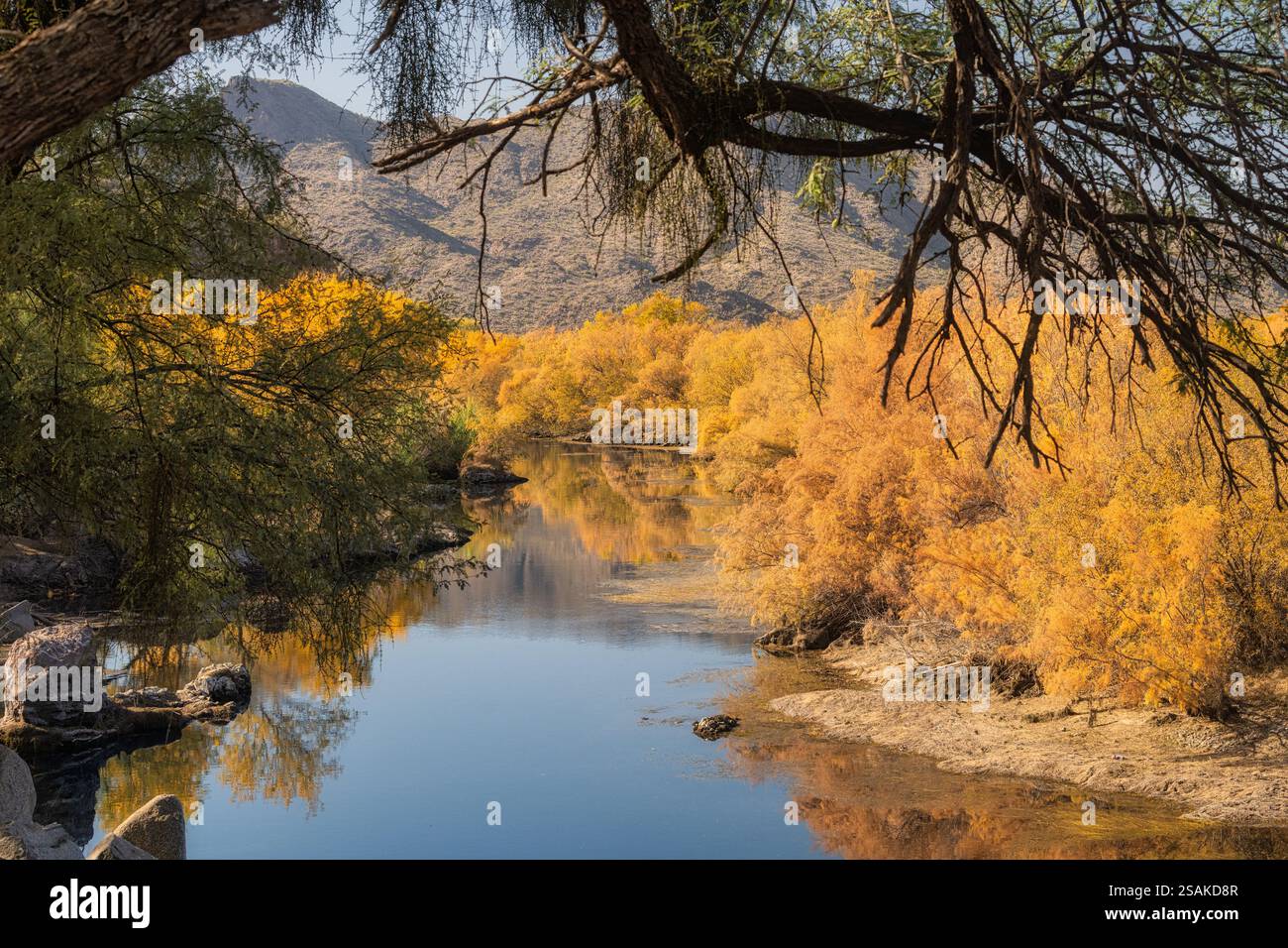 Ein herbstlicher Blick auf den Salt River in der Sonora-Wüste in der Nähe von Phoenix, Arizona. Stockfoto