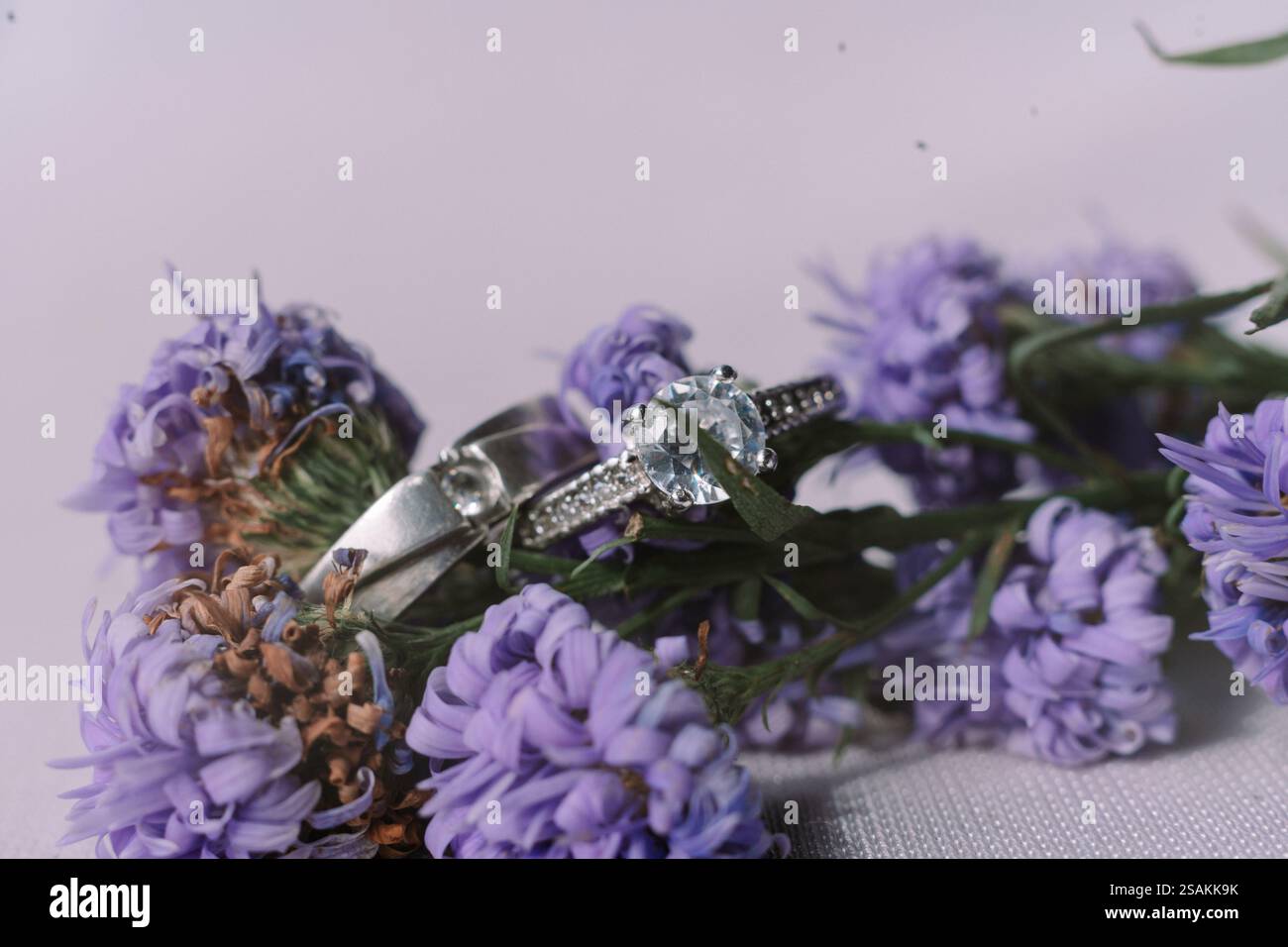 Elegante silberne Eheringe, eingebettet zwischen zarten lila Blumen. Ein Symbol der Liebe und des Engagements. Stockfoto