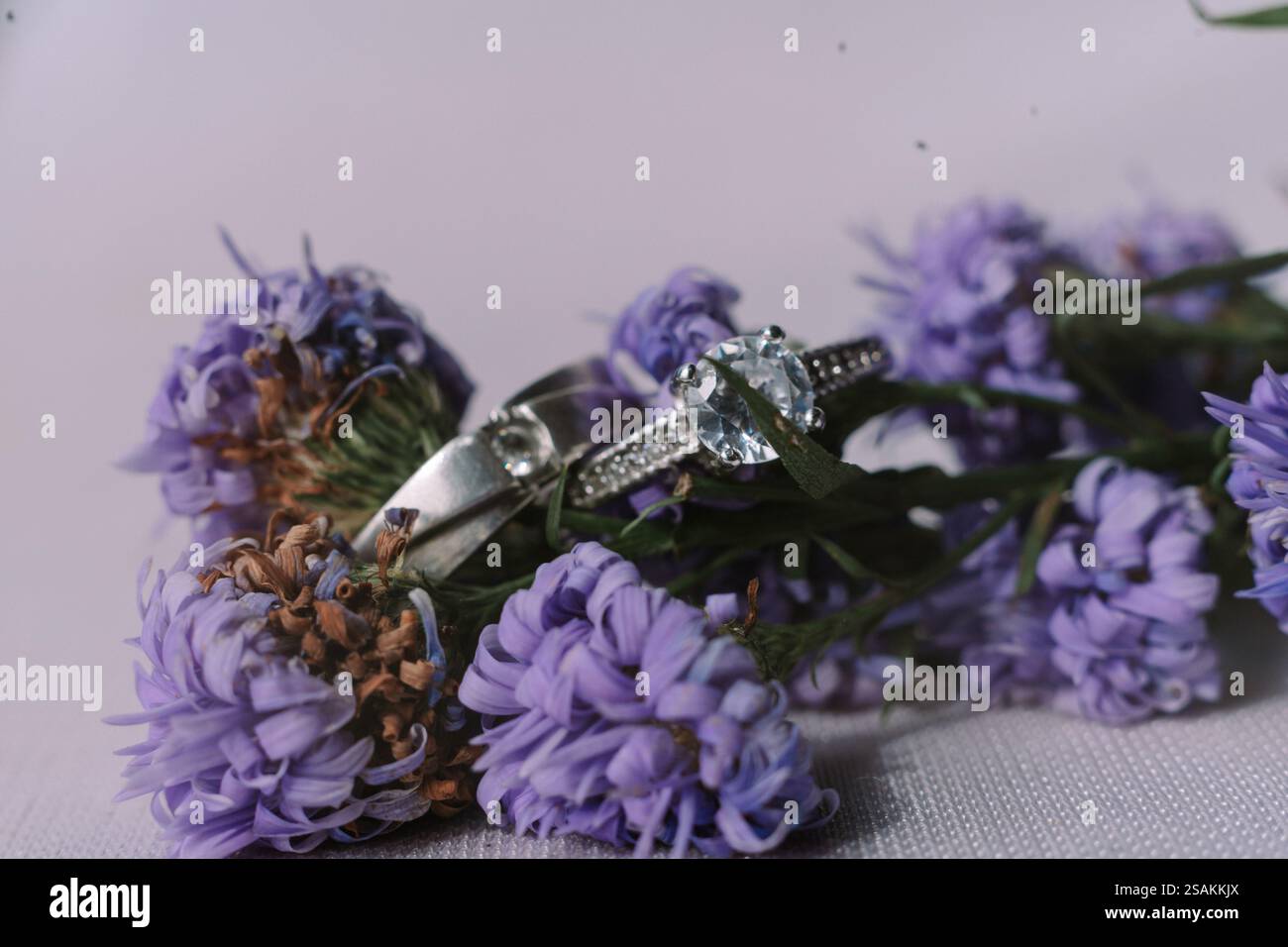 Elegante silberne Eheringe, eingebettet zwischen zarten lila Blumen. Ein Symbol der Liebe und des Engagements. Stockfoto