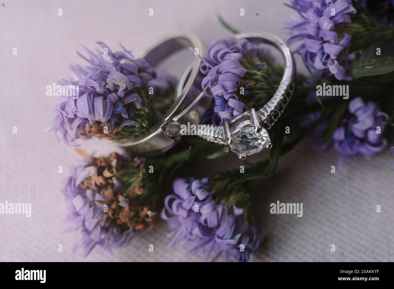 Elegante silberne Eheringe, eingebettet zwischen zarten lila Blumen. Ein Symbol der Liebe und des Engagements. Stockfoto