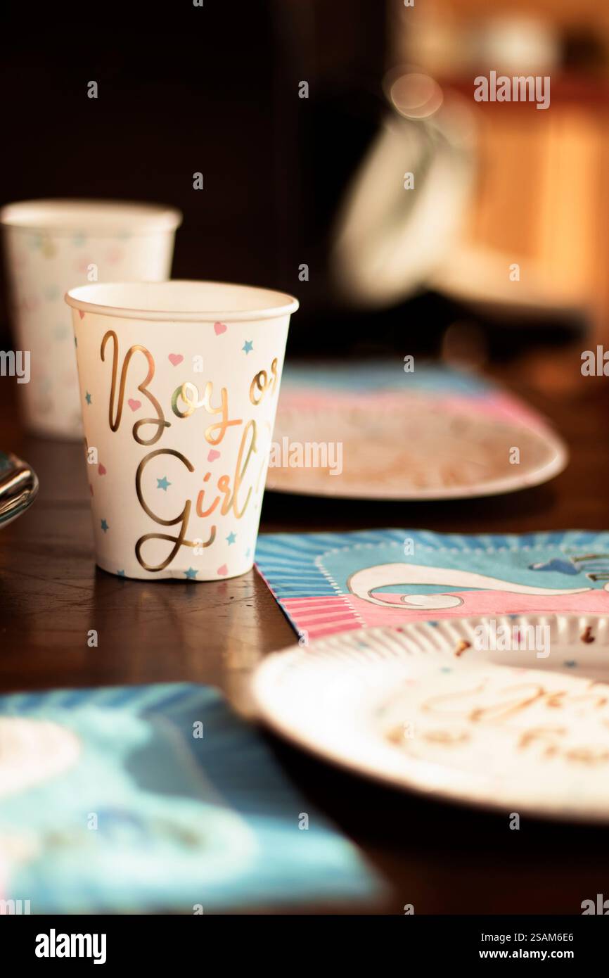 Nahaufnahme des Geschlechts zeigt Partygeschirr, einschließlich Tasse und Teller, mit festlicher Dekoration. Stockfoto